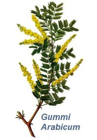 Gummi Arabicum E414 40 g